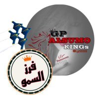 ‏⚜️ ﮼فرز ﮼السمو. ⚜️ (@s222ws) Twitter profile photo