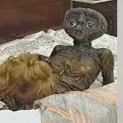 creamdream80085's profile picture. daddy’s home