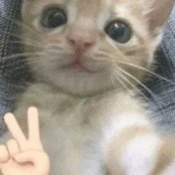 Rehtics2's profile picture. 🇫🇮19 
cs LFT