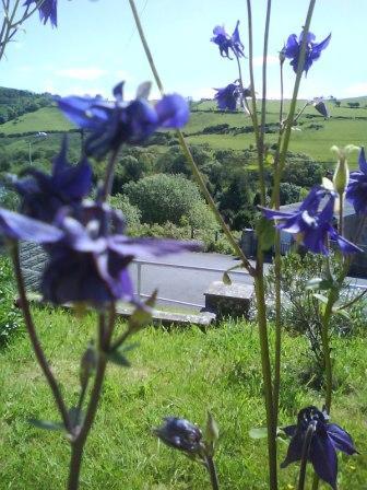 PersSpirDevLtd's profile picture. Being Spiritual & Learning About Loving Life. Being Grateful 4 Everything & Improving Personal Development. Enjoy Free Ebooks At My Blog For Personal Growth!