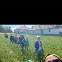 Tülin çalışkan Coşar (@tlincoar3) Twitter profile photo