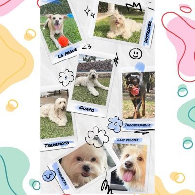 MisAmores2023's profile picture. 