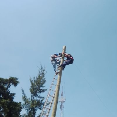 Dani5411441916's profile picture. 