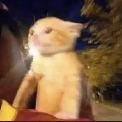 ArsalanSakhawa1's profile picture. Doctor