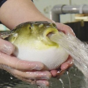 ムヒさんのプロフィール画像