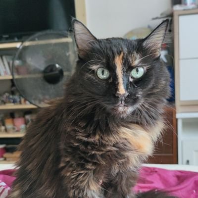 petra_sl's profile picture. Prostě já // Just me :) 🇨🇿