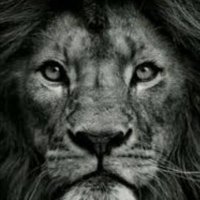 villan 68 👊🏻 (@uppernorthvilla) 's Twitter Profile Photo villan 68 👊🏻 (@uppernorthvilla) 's Twitter Profile Photo