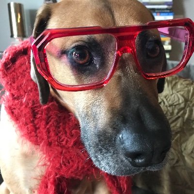 mlrouw's profile picture. 