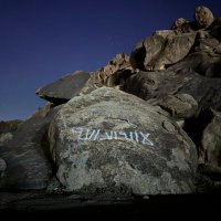 تركي الدندني (@t1urkl) Twitter profile photo