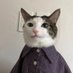 Jack (@plsjack) Twitter profile photo Jack (@plsjack) Twitter profile photo