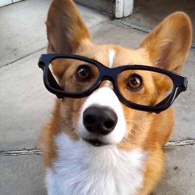 gagguDev's profile picture. Trying to be a good engineer!