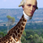chip19801's profile image