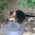 I steal microwaves (@mmicrowavetheft) Twitter profile photo I steal microwaves (@mmicrowavetheft) Twitter profile photo