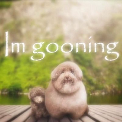 jusvibin__'s profile picture. glorp enjoyer