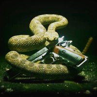Hellbilly 🐍🖕🏻 (@jhellbilly) 's Twitter Profile