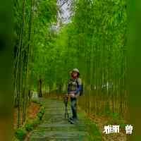 yaliizeng's profile picture. 🌸🌸
与这世界格格不入
喜欢cosplay
桌游lifeboardgames236