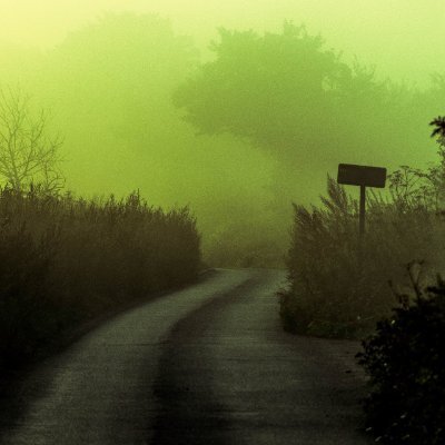 WhosIsLotion's profile picture. gotta be something funny