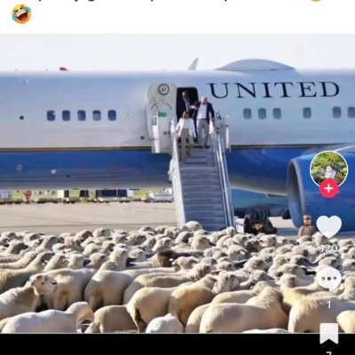 Nacilbuper10's profile picture. 