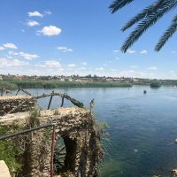 مصطفى محمود الحديثي (@eel08pabagicqbj) 's Twitter Profile Photo