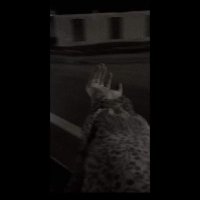 Esraa_Sayed (@_esraa_sayedd_) 's Twitter Profile