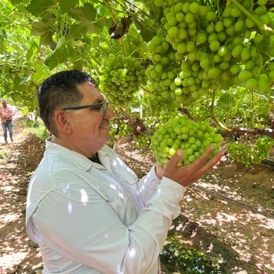 ArturoGarc4257's profile picture. trabajo en Green Stripe de México  , Ing  agronomo. americanista de corazón amarillo azul