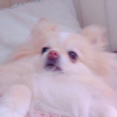 ⛈☔️さんのプロフィール画像