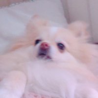 ⛈☔️ (@ghostmillk) 's Twitter Profile
