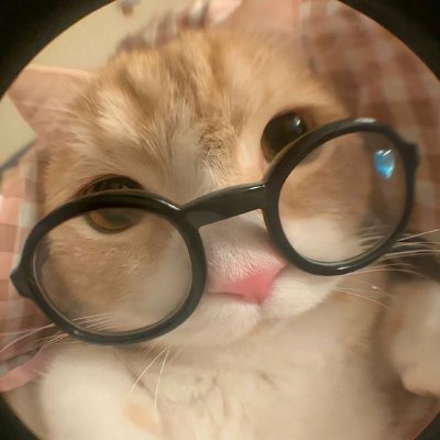 talla659's profile picture. We are born to be real, not perfect.