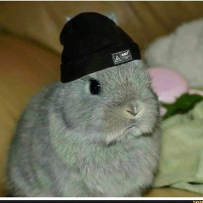 Cryptose_44's profile picture. The new multi chain world is emerging💫 #XRP #XDC #XLM #HBAR #ALGO #SUI