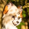 LunariFox's profile picture. 💕welcome to my Twitter! 💕 I love nature and animals! I'm 18+🇳🇱 https://t.co/e5SVvZZPKy 🧵 @glitzyfoxstudio 🗝️❤️ @jekyllfoxx
