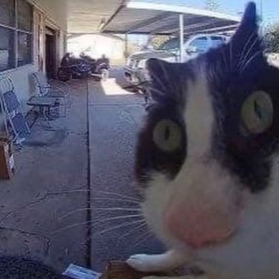 picolin3888304's profile picture. 