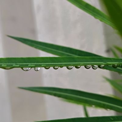 yengachennai's profile picture. தமிழன்😎🙏 தமிழ் தேசிய அரசியல் வேண்டுபவன்