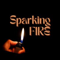 Seb's FIRE Journey (@sparkingfirenc) 's Twitter Profile