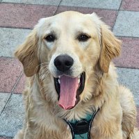 Robert.Bsv (@robert_bsv) 's Twitter Profile