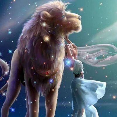 shizhao666's profile picture. 