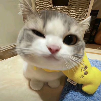 aecustien's profile picture. f20 mlg