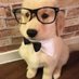 เด้นเด้น⭐️🐶 (@woakngaf) Twitter profile photo เด้นเด้น⭐️🐶 (@woakngaf) Twitter profile photo
