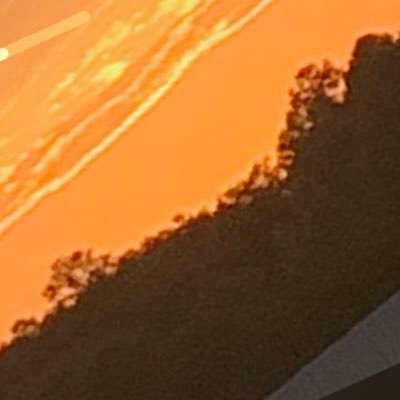 kattkit1212's profile picture. 