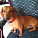 Allan Tan - @atanusa1 - Twitter