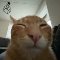 floops (@flopyfloops) 's Twitter Profile
