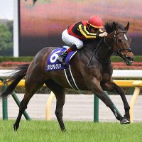 たつ (@uxtriu6l3r30401) 's Twitter Profile