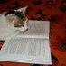 MINU_THE_PHILOSOPHER (@taslimascat) Twitter profile photo MINU_THE_PHILOSOPHER (@taslimascat) Twitter profile photo