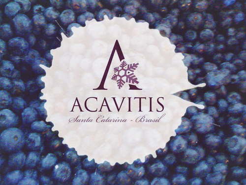 Associoação Catarinense de Produtores de Vinhos Finos de Altitude tem o objetivo defender os interesses dos produtores de uvas e vinhos finos de altitude de SC