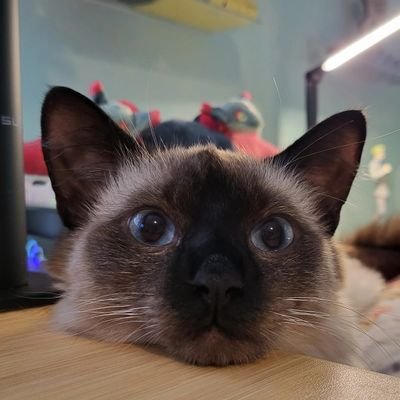 Juicyyamsさんのプロフィール画像