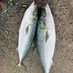 Mi2ãé£ã (@mi2_fishing) Twitter profile photo Mi2ãé£ã (@mi2_fishing) Twitter profile photo