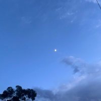 stonecoldhoe (@wildfirerunner) 's Twitter Profile