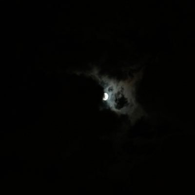 استغفرالله العظيم واتوب اليه،سبحان الله وبحمده سبحان الله العظيم