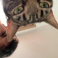 martí (@_martiims) Twitter profile photo