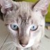 Zorro30502 (@v56562914) Twitter profile photo Zorro30502 (@v56562914) Twitter profile photo