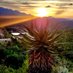 Garden Route SA (@gardenroute_sa) Twitter profile photo Garden Route SA (@gardenroute_sa) Twitter profile photo